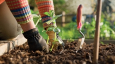 5 gardening health and safety tips