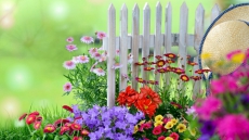 Keeping your garden healthy all year long