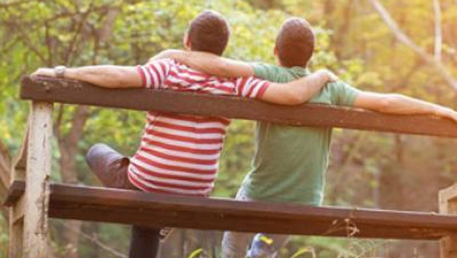 Netherlands city plans to build gay village: Report