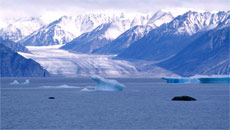 Oceans, Glaciers At Increasing Risk, Including Canada's: Climate Report