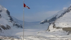 How many glaciers in Canada's Arctic can be saved from extinction?