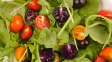 What's Next? Next-Generation GMOs Could Be Pink Pineapples, Purple Tomatoes, Healthier Oils