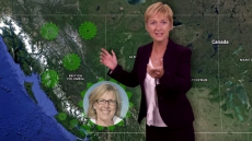 WATCH: First Green Video Ad Flirts With Candidate Claire Martin's Old TV Persona