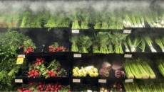 Champagne to announce initial commitments from grocers to stabilize prices today