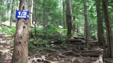 Gear Up Vancouverites! Grouse Grind Opens For The Season This Friday At 6:15 A.M.