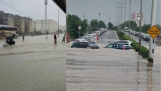 7 dead, 6,000 relocated as torrential rain pounds Gujarat