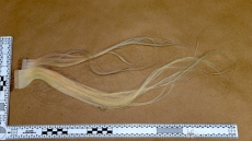 Vancouver Police Hope Hair Extensions Could Help ID Victim Of Violent Assault