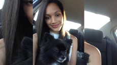 Large Dog Runs Into Halifax Home And Kills Pomeranian As Pet Owner Looks On