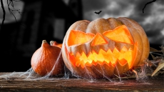 Good news for trick-or-treaters! Halloween weather forecast not scary