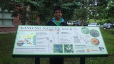 Get involved and give back to earth