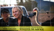 Hay-bale enclosure set up before Ostrich cull in B.C. charred by fire