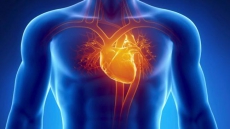 Obesity silently damages heart