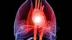 Living heart tissue grown