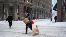 Schools closed, commuters facing delays as heavy snow blankets southern Ontario