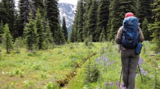 79-Year-Old Ontario Woman Got Lost On Solo Hike In Alaska But Walked To Safety