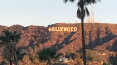 Someone Changed Hollywood Sign To Hollyweed In New Year's Eve Prank