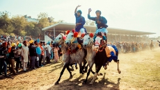 Understanding Hola Mohalla