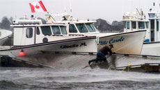 Hurricane Arthur leaves 200,000 without power in Canada