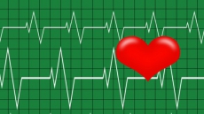 Pathway between brain and blood pressure identified