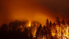B.C. fire numbers grow but weather offers respite
