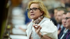 Federal minister plans to hold consultations this summer on immigration intake Federal minister plans to hold consultations this summer on immigration intake