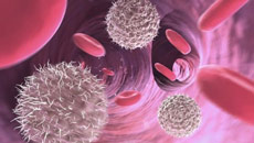 How your immune system can fight back cancer