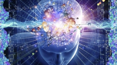 Great leaders are made not born