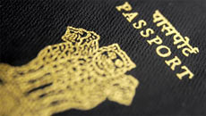 The 'donkey route' to Britain: Hair-raising tales of illegal immigration