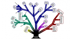 'Indo-European' Languages First Emerged 6,500 Years Ago