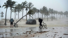 Indian-Americans Provide Relief Materials Post-Harvey