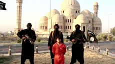 Islamic State's No. 2 man killed in Iraq airstrike: Report