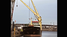 Ship crew stranded in Newfoundland is running low on water, food: union leader