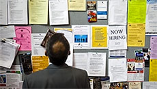 Ontario Added 19,800 Jobs In January, Only Province To Show Gains