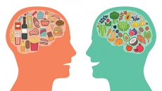 Junk Food For Thought