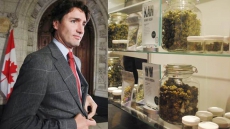 Legalizing Pot In Canada Will Run Afoul Of Global Treaties, Justin Trudeau Warned