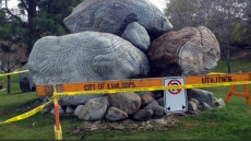 BC Woman Set On Fire In Supposed Pagan Ritual Was Social Worker On Schoenborn File