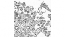 More COVID-19 cases linked to Kelowna cluster