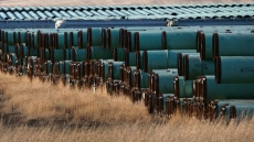 U.S. Midterms: Stage may be set for a big vote on Keystone XL pipeline