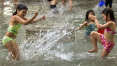 Music Too Loud, Won't Cut The Grass? Experts Weigh In On Neighbour Disputes