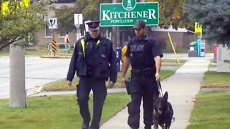 Big Police Presence In Kitchener, Ont. After Man Dies Of An Arrow To Chest