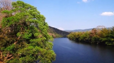 Newly-Wed Couple Jump Into River; Woman Dies, Man Saved