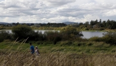 B.C. conservation plan not well managed: auditor