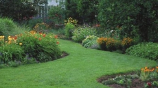 Keeping your yard healthy in the heat