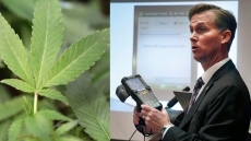 The Cannabis Act: 6 Things You need to Know