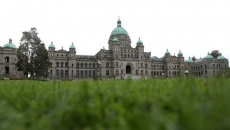 B.C. bill that would have stopped doctors from providing puberty blockers defeated