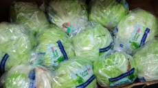 Canada's E. Coli Outbreak Steps Lag U.S. Because Of Caseloads: Experts