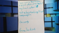 Boy Writes 'I'm Sorry' To Library For Damaging Book While Falling Asleep Reading