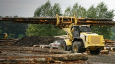 Crown May Proceed With B.C. Logging Auction Against First Nations' Wishes: Court