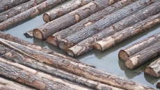 B.C. sets aside some timber supply for value-added