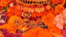 Interpol on alert after idol theft in Himachal